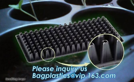 buy PET Plastic Vegetable Plant Grow Seedling Bed Trays Nursery Plug Tray,128 holes seedling starter trays, greenhouse grows online manufacturer