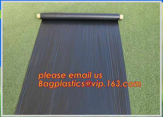 buy Silver Black Perforated Plastic Mulch Film with Punch Hole,biodegradable perforated plastic mulch film,Perforated plasti online manufacturer
