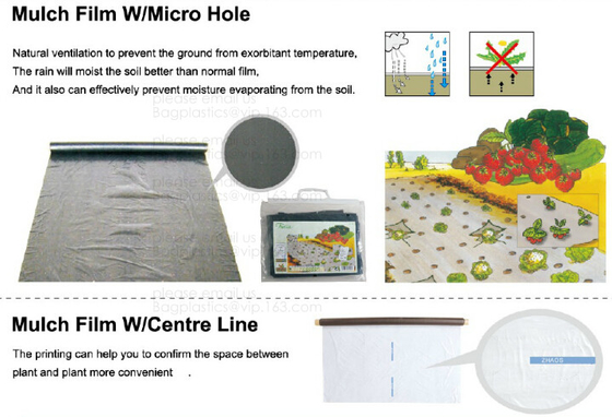 buy Perorated weed barrier,mulch film with hole,pe film with dots-servering line,tomato mulch film,plastic nail,fasten sheet online manufacturer