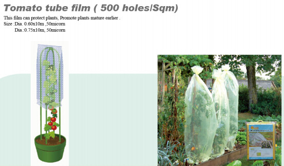 buy PP NONWOVEN FABRC, WINTER COVER,MICRO-PERFORATED FILM,TOMATO TUBE FILM,GREEN FILM,MULCH FILM,REFLECT FILM,BIODEGRADABLE online manufacturer