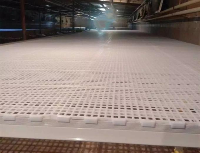 Grating Shed Mesh Plastic Slatted Floor For Poultry 1