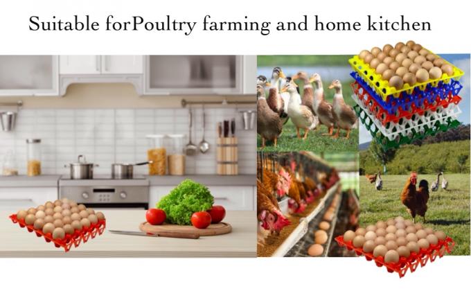 علب البيض البلاستيكية قابلة لإعادة الاستخدام صناديق البيض 30 بيضة مسطحة لمزارعي الدجاج المنزليين، صناديق البيض القابلة للتراص تحتوي على بيضات متعددة، رائعة للتخزين والفرز والشحن البيض، دائمة ويمكن إعادة استخدامها 0