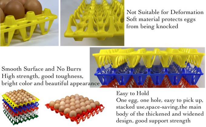 علب البيض البلاستيكية قابلة لإعادة الاستخدام صناديق البيض 30 بيضة مسطحة لمزارعي الدجاج المنزليين، صناديق البيض القابلة للتراص تحتوي على بيضات متعددة، رائعة للتخزين والفرز والشحن البيض، دائمة ويمكن إعادة استخدامها 1