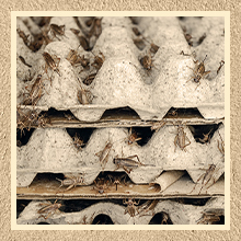 حزمة أكياس البيض صناديق بكمية كبيرة 30 الخلية الخبز الألياف البيض المسطحة قابلة لإعادة الاستخدام مقوى قابلة للتراكم علبة الورق المقوى للتخزين المنزلي حزم مستعمرة الصراصير العزل الصوتي 4