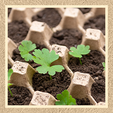 حزمة أكياس البيض صناديق بكمية كبيرة 30 الخلية الخبز الألياف البيض المسطحة قابلة لإعادة الاستخدام مقوى قابلة للتراكم علبة الورق المقوى للتخزين المنزلي حزم مستعمرة الصراصير العزل الصوتي 3