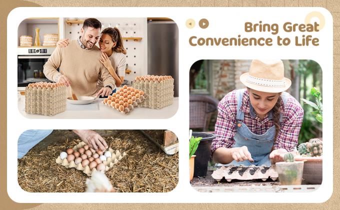 حزمة أكياس البيض صناديق بكمية كبيرة 30 الخلية الخبز الألياف البيض المسطحة قابلة لإعادة الاستخدام مقوى قابلة للتراكم علبة الورق المقوى للتخزين المنزلي حزم مستعمرة الصراصير العزل الصوتي 7