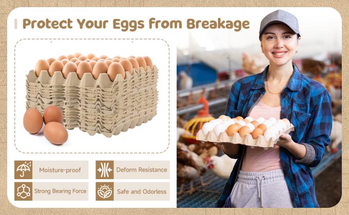 حزمة أكياس البيض صناديق بكمية كبيرة 30 الخلية الخبز الألياف البيض المسطحة قابلة لإعادة الاستخدام مقوى قابلة للتراكم علبة الورق المقوى للتخزين المنزلي حزم مستعمرة الصراصير العزل الصوتي 6
