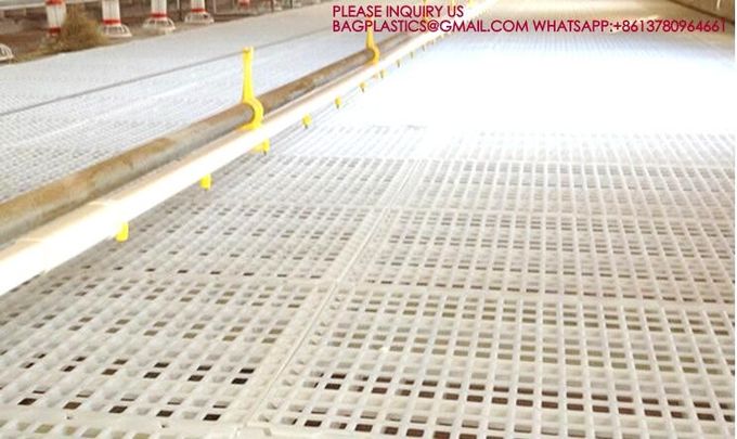 الطابق الدجاج الدواجن 1200 * 500mm البطة الأوزة الأرضية تغطية أرضية اللون الأبيض الأرنب 0