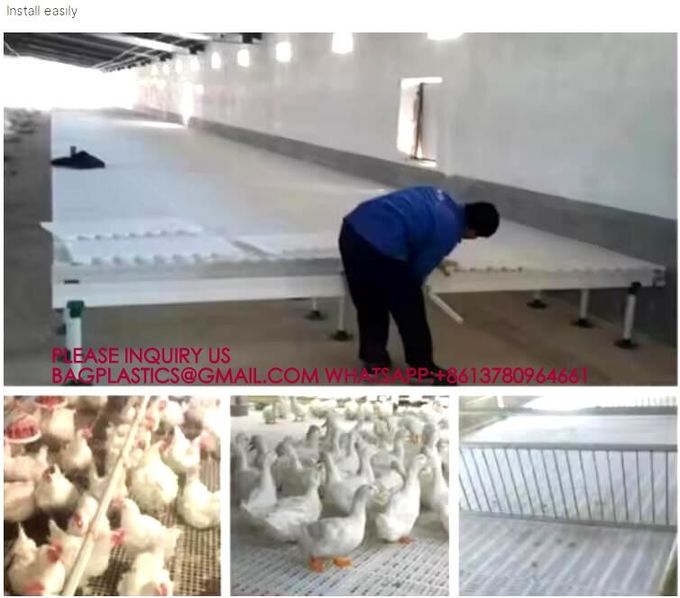 الدجاج البلاستيكية أرضية منقوشة مزرعة الدواجن أرضية منقوشة اللون الأخضر 40 * 27 سم الأرنب أرضية منقوشة 4